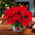 Salma Smith - Facebook