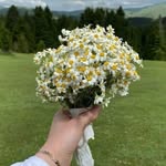@salma_.taleb - Instagram