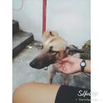 감살르마 - @salmawalker7092 - Instagram