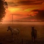 Salman Abdullah - @salmanabdullah_595 - Instagram