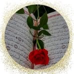 Salman Farshi Abdullah - Facebook