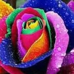 Salman Ashfaq - @ashfaqsalman - Instagram