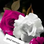 Salman Basharat - @salman.basharat.104 - Instagram