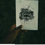 Salman Faris Bavappadi - @salmanbavappadi - Instagram