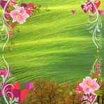 Salman Daud - @salmandaud832 - Instagram