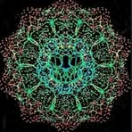 Salman Lee - Facebook
