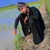 salmanalee074 - @salmanalee074 - TikTok