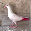 SALMAN RASOOL - @salmanrasool1 - TikTok