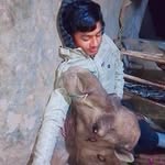 Salman Rayma - @salmanrayma5 - Instagram