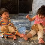 Salman Sarfraz - @salman_sarfraz_ - Instagram