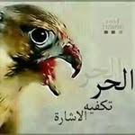 Salman Shalan - @salmanshalan - Instagram