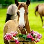 Salome Rojas - @salome.rojas.92317 - Instagram