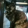 Salome Scott - @rose_sophia09 - TikTok