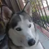 salomoncantillo10 - @salomoncantilloarce - TikTok