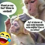 Salomon Murillo - @salomon4776 - Instagram