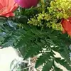 Salomon Olvera @Yahoo.com Olve - @salomon.olvera.ya - TikTok