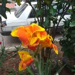 Salomon Solano - Facebook