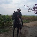 Salomón Solano - @solano.salomon - Instagram