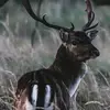 Saloni Malik - @salonimalik8 - TikTok