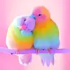 user364045526472 - @salonirao22 - TikTok