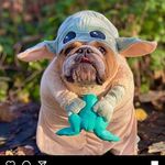 Salvatore Argento - @sargento1972 - Instagram