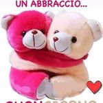 salvatore carollo - @carollo4119 - Instagram