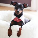 Salvatore Cottone - @salvatore.cottone.5623 - Instagram