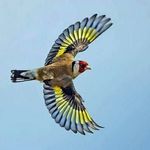 Salvatore Formica - @formica3742 - Instagram