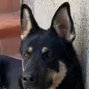 salvatoreformica30 - @salvatoreformica30 - TikTok