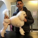 salvatore.frattolillo - @salvatore.frattolillo - Instagram