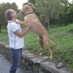 Salvatore Galdi - Facebook