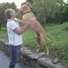 salvatoregaldi882 - @salvatoregaldi882 - TikTok