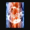 Salvatore_Grimaldi - @salvatore_grimaldi - TikTok