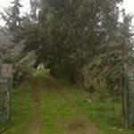 Salvatore Ledda - @ledda.salvatore - Instagram