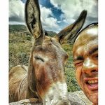 Salvatore Ledda - @torelosco - Instagram