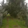 salvatoreledda937 - @salvatoreledda937 - TikTok
