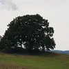 Salvatore Levato5 - @salvatorelevato5 - TikTok