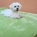Salvatore Lopes - Facebook