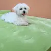 Salvatore Lopes - @salvatore.lopes3 - TikTok