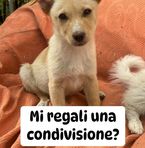 Salvatore Luce - Facebook