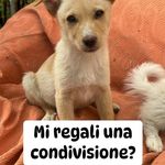 Salvatore Luce - @luce2156 - Instagram