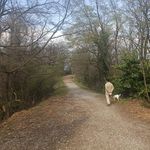 Salvatore Luceri - @salvatore.luceri - Instagram