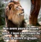 Salvatore Luongo - Facebook