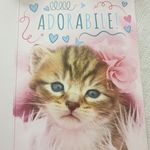 Salvatore Sciortino - @salvatore.sciortino.10 - Instagram