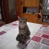 Salvatore Suppa - @salvatore.suppa - TikTok