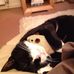 Sam Abernethy - Facebook