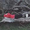 Sam Adcock - @samadcock0 - TikTok