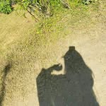 Sam Adhikari - @samadhikari58 - Instagram