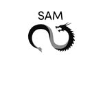 Sam Agen - @samagentur - Instagram