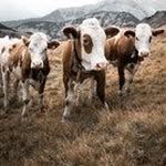 samagius6 - @samagius6 - Instagram